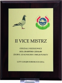 Dyplom z nadrukiem na złotej blaszce 305x230