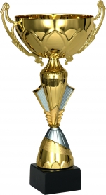 Puchar metalowy gold