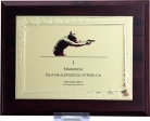 Dyplom z kolorowym nadrukiem na blaszce 23x18