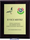 Dyplom z nadrukiem na złotej blaszce 180x230