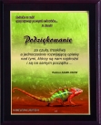 Dyplom z pełnokolorowym  laminatem 