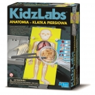 ZRÓB TO SAM Anatomia człowieka - klatka piersiowa