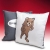 Poduszka komixxowa Pedobear